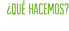 ¿QUÉ HACEMOS?